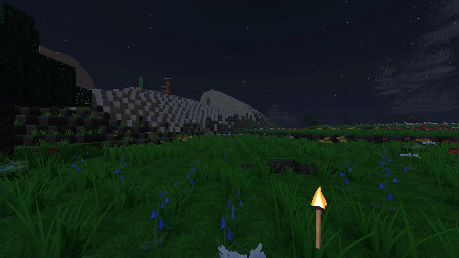 A moonlit meadow at night under a starry sky, with a held torch glowing warmly.