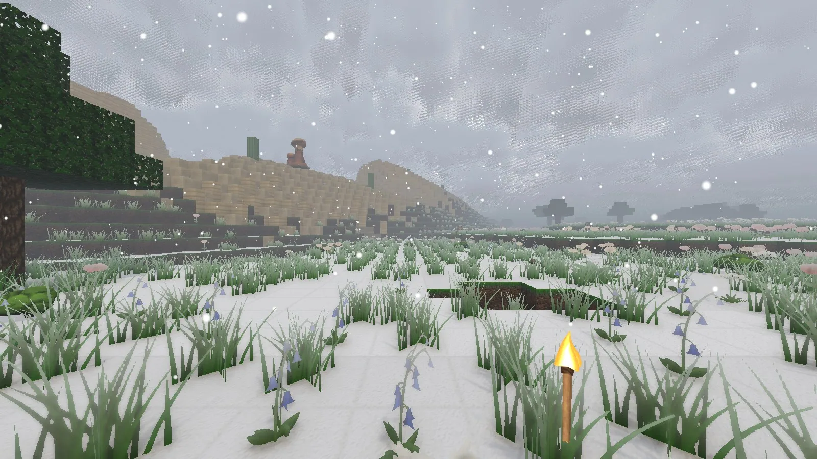 Snow falling and settling on the ground, grass and flowers of a meadow.