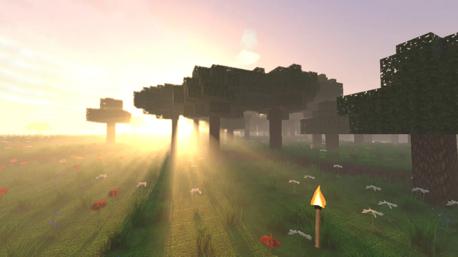 Low morning sun shining through a row of blocky trees, with visible light shafts and haze over grass and flowers.